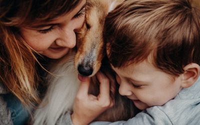 Educarse en la tenencia de un perro